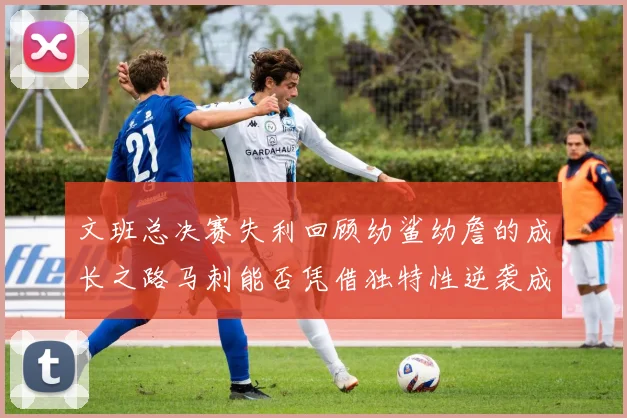 文班总决赛失利回顾幼鲨幼詹的成长之路马刺能否凭借独特性逆袭成功