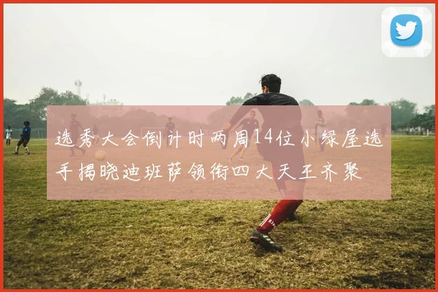 选秀大会倒计时两周14位小绿屋选手揭晓迪班萨领衔四大天王齐聚
