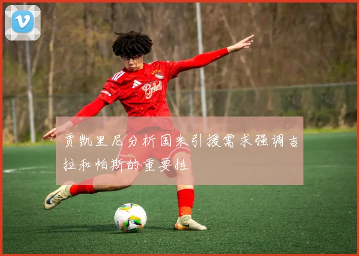贾凯里尼分析国米引援需求强调吉拉和帕斯的重要性