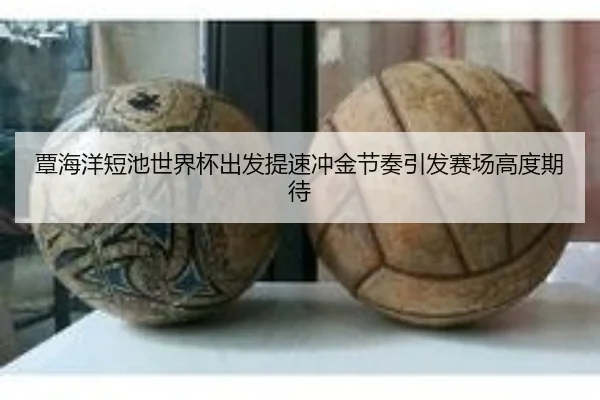 覃海洋短池世界杯出发提速冲金节奏引发赛场高度期待
